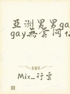 亚洲男男gaygay无套网站