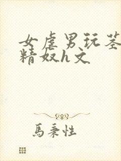 女虐男玩茎榨精精奴h文