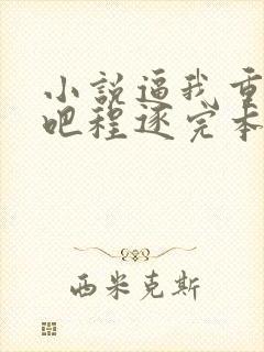 小说逼我重生是吧程逐完本免费阅读