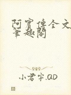 阿宾传全文阅读笔趣阁
