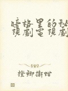 暗格里的秘密电视剧电视剧免费观看封面