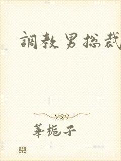 调教男总裁sm