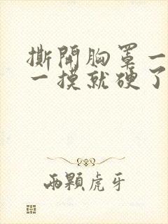 撕开胸罩一边亲一摸就硬了视频