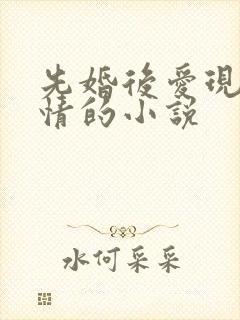先婚后爱现代言情的小说