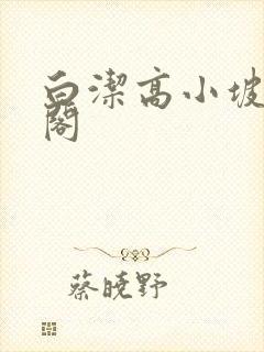 白洁高小坡笔趣阁