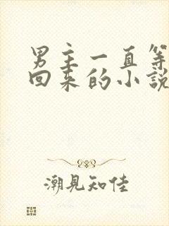男主一直等女主回来的小说