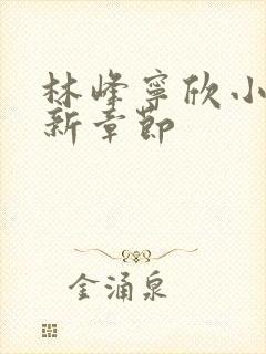 林峰宁欣小说最新章节封面