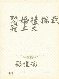 闪婚后总裁把我宠上天