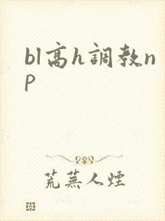 bl高h调教np封面