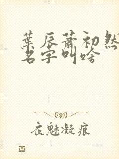 叶辰萧初然小说名字叫啥