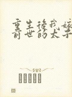 重生后我嫁给了前世的太子姐夫免费阅读