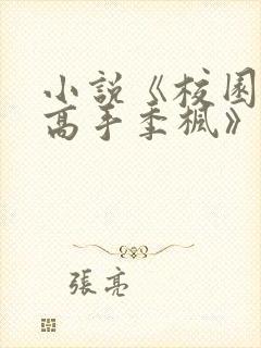小说《校园全能高手季枫》