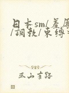 日本sm/羞辱/调教/束缚对折第十三季封面