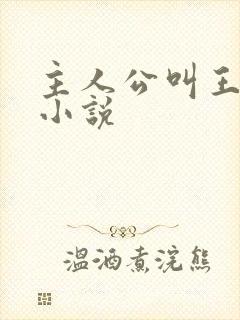 主人公叫王宇的小说