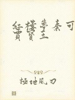 红楼梦秦可卿与贾宝玉封面