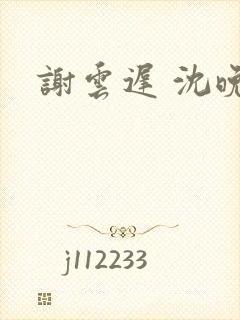 谢云迟 沈晚梨