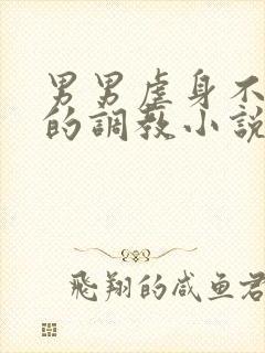 男男虐身不虐心的调教小说