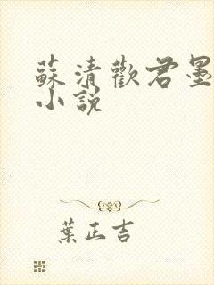 苏清欢君墨琛的小说
