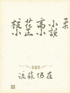校花高小柔小刚小正小说
