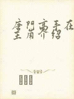 唐门高手在异世主角介绍