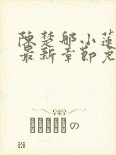 陈楚那小莲小说最新章节免费阅读