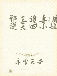 邪王追妻:废材逆天四小姐