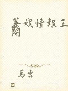 华娱情报王笔趣阁封面