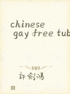 chinese gay free tube