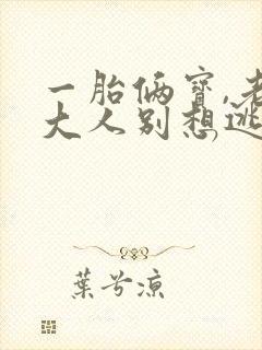 一胎俩宝,老婆大人别想逃 阅读
