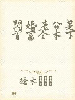 闪婚老公是千亿首富全本下载封面