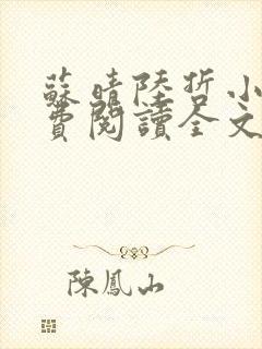 苏晴陆哲小说免费阅读全文封面