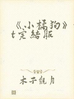 《小橘狗》txt完结版
