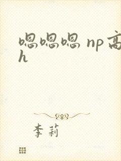 嗯嗯嗯 np高h