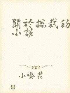 关于总裁的言情小说