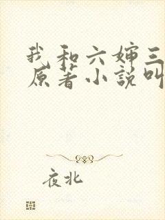 我和六婶三十年原著小说叫什么名字