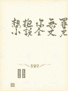 想抱你无罪国度小说全文免费封面