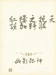 红楼之挽天倾小说加料版