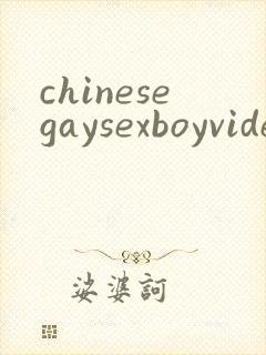 chinesegaysexboyvideo封面