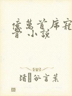 亿万首席宠妻入骨 小说