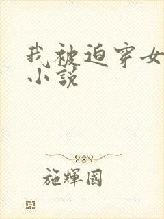 我被迫穿女装的小说