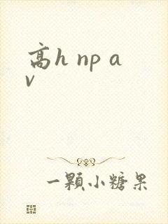 高h np av