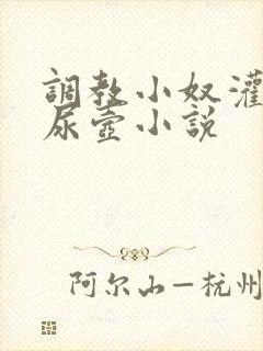 调教小奴灌尿当尿壶小说