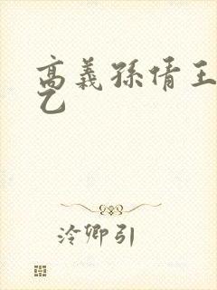 高义孙倩王申王乙封面