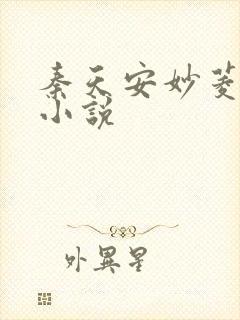 秦天安妙菱修仙小说