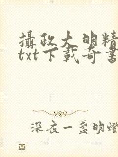 摄政大明精校版txt下载奇书