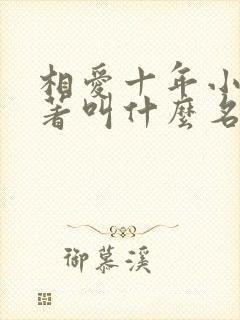 相爱十年小说原著叫什么名字