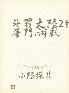 斗罗大陆2绝世唐门,游戏