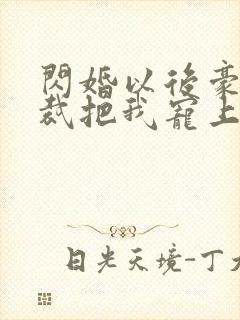 闪婚以后豪门总裁把我宠上天封面
