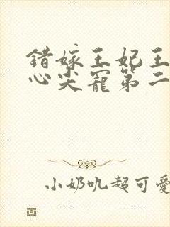 错嫁王妃王爷的心尖宠第二季封面
