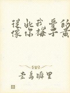 从此我爱的人都像你梅子黄时雨